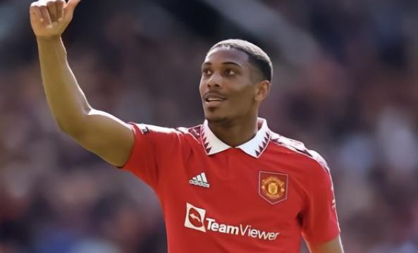 对性训练 对性训练